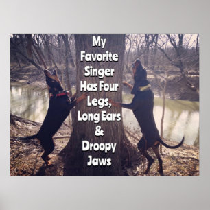 My Favourite Singer Coon Hound Poster
