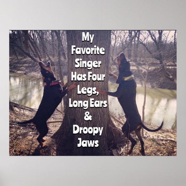 My Favourite Singer Coon Hound Poster (Front)