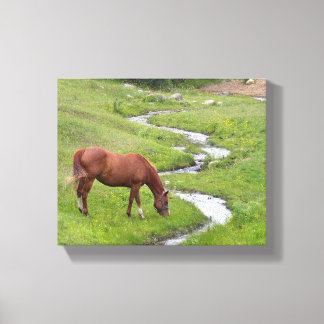 "My Favourite" Stretched Canvas Print