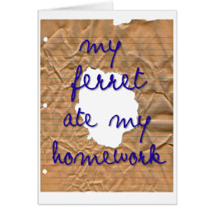 My Ferret Ate My Homework