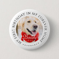 My First Birthday Forever Home Modern Pet Photo