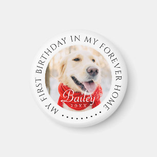 My First Birthday Forever Home Modern Pet Photo Magnet