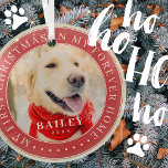 My First Christmas Forever Home Modern Pet Photo Glass Tree Decoration<br><div class="desc">This simple and classic design is composed of serif typography and add a custom photo. "My First Christmas in my forever home" encircles the custom photo.</div>