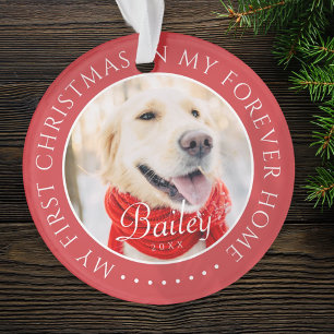My First Christmas Forever Home Modern Pet Photo Ornament