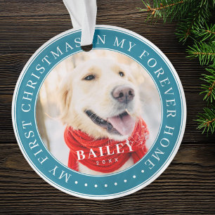 My First Christmas Forever Home Modern Pet Photo Ornament
