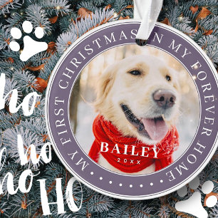 My First Christmas Forever Home Modern Pet Photo Ornament