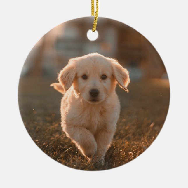 My First Christmas Modern Simple Puppy Pet Photo Ceramic Tree Decoration (Front)