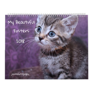 MY FOSTER KITTENS 2018 CALENDAR