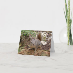 My Friend Fuzzy Card