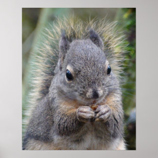 My Friend Fuzzy Poster