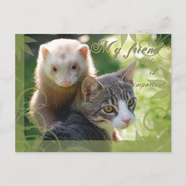 My Friend Postcard (Front)