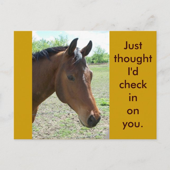 My Friend, The Horse Postcard (Front)