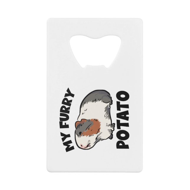 My furry potato guinea pig (Front)