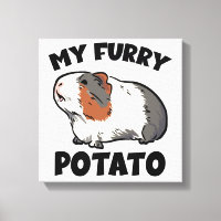 My furry potato guinea pig