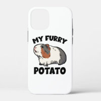My furry potato guinea pig