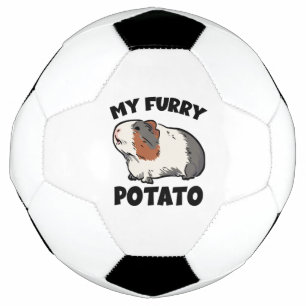 My furry potato guinea pig football