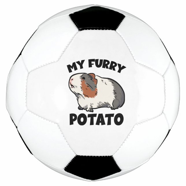 My furry potato guinea pig football (Front)