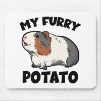 My furry potato guinea pig