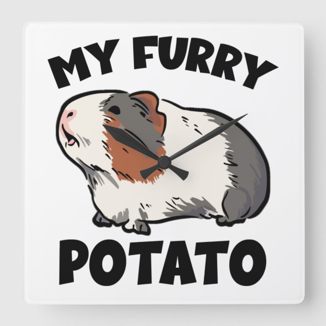 My furry potato guinea pig square wall clock (Front)