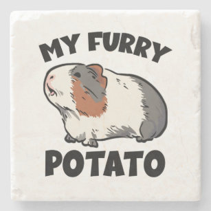My furry potato guinea pig stone coaster