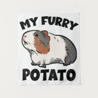 My furry potato guinea pig