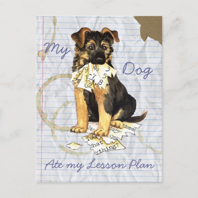 My German Shepherd Ate My Lesson Plan Postcard (Front)