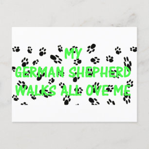My German Shepherd Walks All Over Me Postcard
