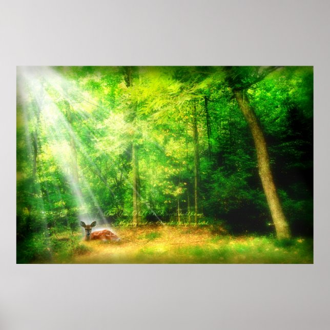 My Glory Poster (Front)