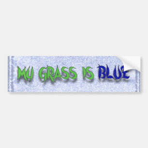 MY GRASS IS BLUE-BUMPER STICKER