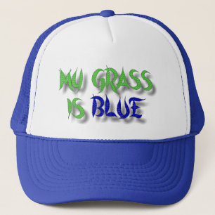 MY GRASS IS BLUE-HAT TRUCKER HAT
