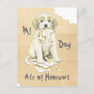 My Great Pyrenees Ate My Homework Postcard