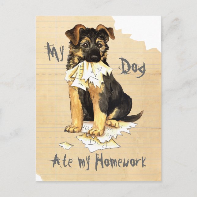 My GSD Ate My Homework Postcard (Front)