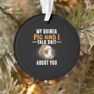 My Guinea Pig And I Talk About You Pet Owner Ornament