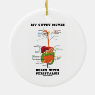 My Gutsy Moves Begin With Peristalsis (Digestive) Ceramic Tree Decoration