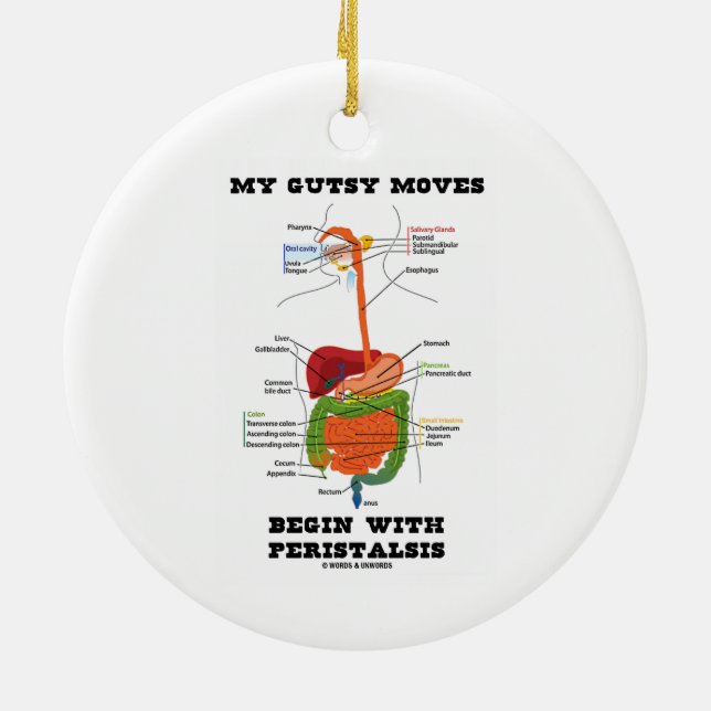 My Gutsy Moves Begin With Peristalsis (Digestive) Ceramic Tree Decoration (Back)