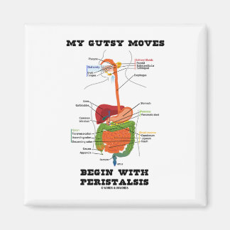 My Gutsy Moves Begin With Peristalsis (Digestive) Magnet