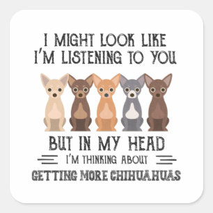 My Head I'm Thinking About Getting More Chihuahuas Square Sticker