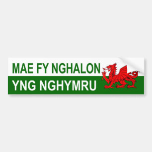 My Heart Is In Wales Bumper Sticker