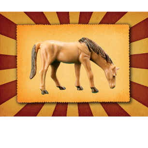 My Horse T-Shirt