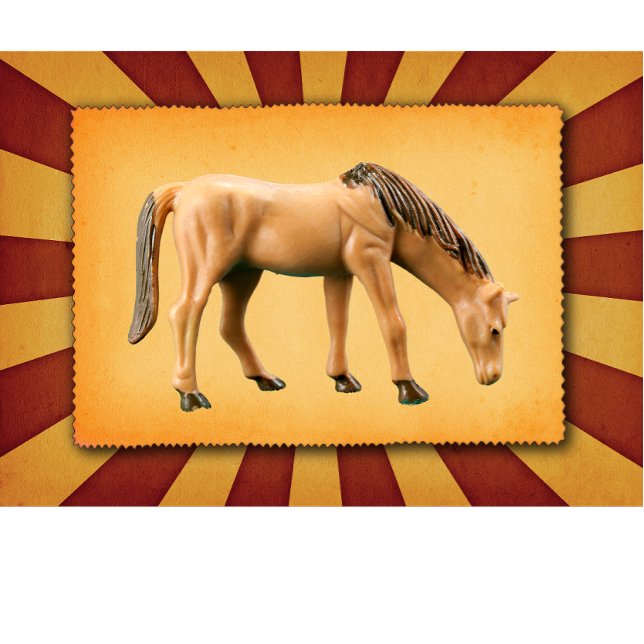 My Horse T-Shirt (Creator Uploaded)