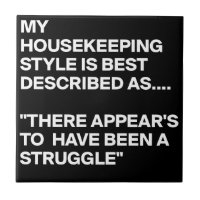 MY-HOUSEKEEPING-STYLE-IS-BEST-DESCRIBED-AS-THERE-A