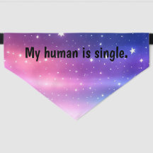My human is single 2