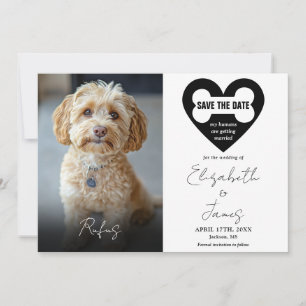 My Humans Are Getting Married Dog 2 Photos Wedding Save The Date