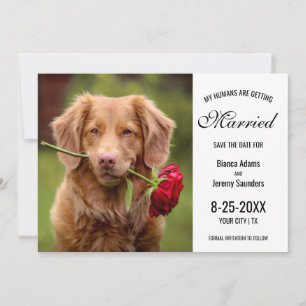 My Humans are Getting Married Dog Photo Wedding Save The Date