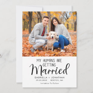 My Humans Are Getting Married Dog Photo Wedding Save The Date