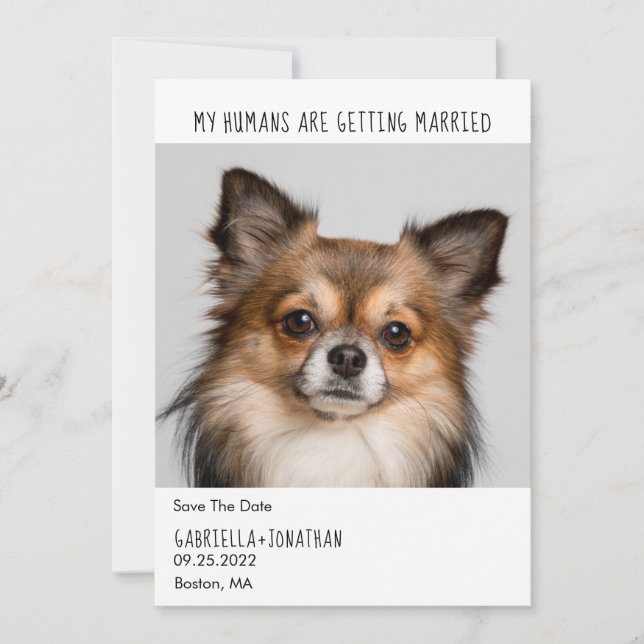 My Humans Are Getting Married Dog Photo Wedding  Save The Date (Front)