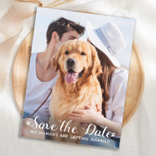 My Humans Are Getting Married Dog Save The Date Announcement Postcard