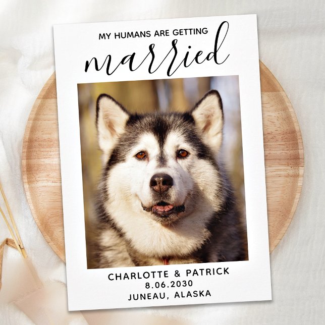 My Humans Are Getting Married- Elegant Dog Wedding Save The Date (Creator Uploaded)