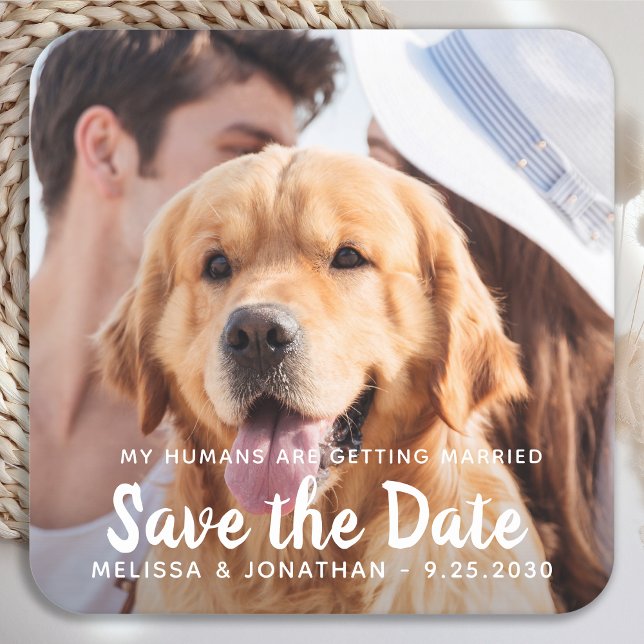 My Humans Are Getting Married Engagement Dog Photo Square Paper Coaster (Creator Uploaded)