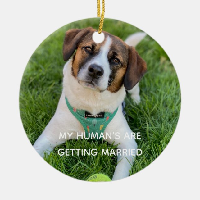 My Human's Are Getting Married Engagement Photo Ceramic Tree Decoration (Front)